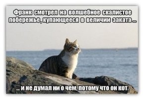 И к хорошим новостям. Леопарду похрен. Потому, что он леопард.