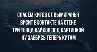 Папа римский взял под опеку приморского леопарда