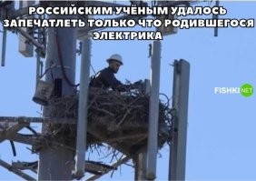 Тилипоптить! не ЭЛЕКТРИКА, а СВЯЗИСТА!