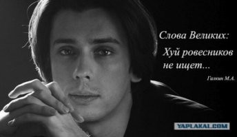Продолжаем барражировать соцсети