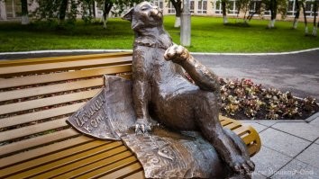 Продолжаем барражировать соцсети