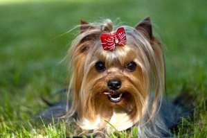 Продолжаем барражировать соцсети