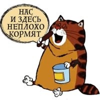 А зачем? У него и так все хорошо