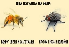 Лучше меня про Брыльску может сказать вот эта картинка.