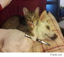 Главное, чтобы костюмчик сидел. Или не главное?