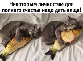 Это не лещ...