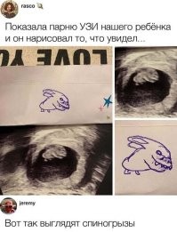 Весёлые картинки с комментариями