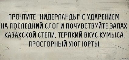 Скрины из соцсетей&nbsp;
