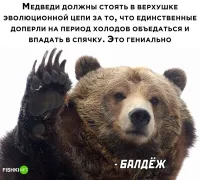 Судя по всему, с биологией у автора этого умозаключения не особо....