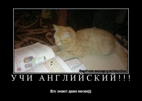 Скрины из соцсетей&nbsp;