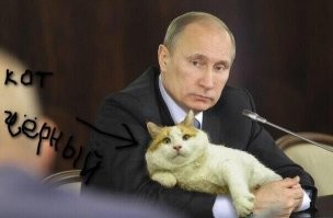 Так то я бы провел Спец. Операцию и СП@ЗДИЛ бы, этого кота из польши:keeporder:
И через какое то время в каком ни будь эфире, ЭТОТ КОТ оказался бы на коленях нашего ТЕМНЕЙШЕГО и он его бы так нежно бы поглажывал...
Вот Пшеков бы ПОРВАЛО