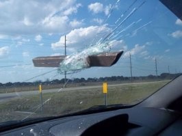 20+ бедолаг, чей день попросту не задался