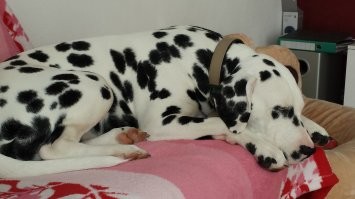 Фотоподборка