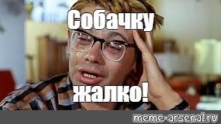 Служебную собаку ветерана проводили на последнем рейсе