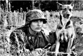 Рекс - служебная собака, которая 9 лет была любимой питомицей и героем для своего хозяина-ССовца, ветерана военных действий в большевистской России. Рекс честно служил 3му Рейху - многих Иванов он загрых до смерти, многим русским партизанам отгрыз яйца. К сожалению, недавно собаке диагностировали неизлечимый рак. Пришло время прощаться.
Прощай, Рекс! Адольф Гитлер и Великая Германия тебя не забудут! Все россиянинцы страдают и плачут от такой потери.