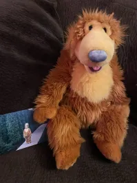 Не то чтобы я великий зоолог, но судя по морде, кажется предки этого "медведя" с ежами грешили...