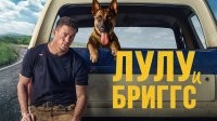 Служебную собаку ветерана проводили на последнем рейсе