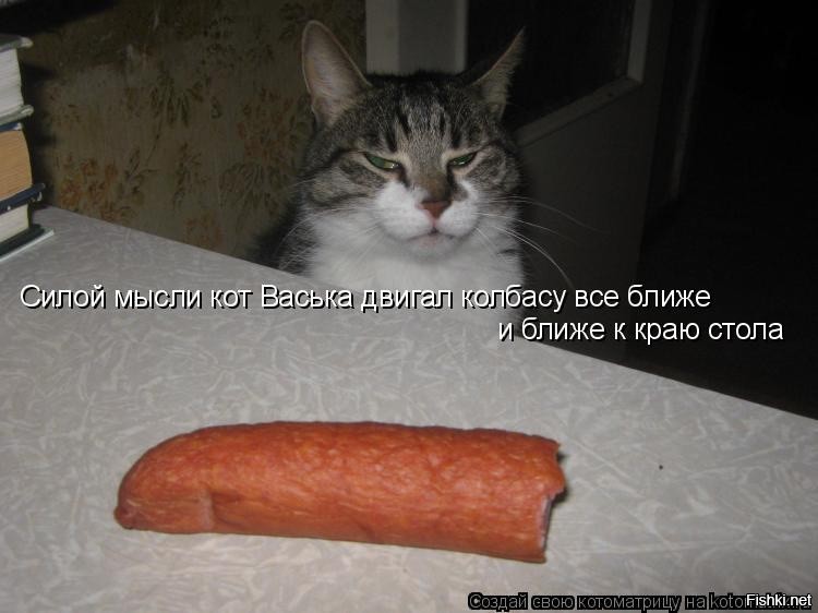 Песня про колбасу. Кот с сосисками. Смешная колбаса. Кот ест колбасу. Смешная сосиска.