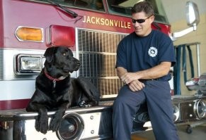 Мир мало изменился. Разве что гаджеты подорожали.