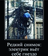 Демотиваторы: объявление, котики, работа