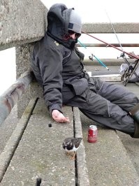 Себя добавлю :) это когда клев ни какой ;) сиди с 6 утра в тумане и хрен знаешь куда кинул свыше 100 метров и вот у тебя птичик твой друг ;) кстати он меня достал , до 4х дня сидел рядом и постоянно подходил и говорил КРЯЯ :)