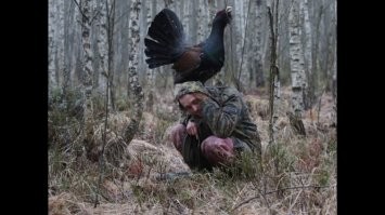 "Тоже мне тигра, ... и не таких гоняли!". Даже менты против "глухарей" никак.