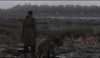 Напомнило:
Болото. Доктор. Проводы.
(для тех, кто помнит)