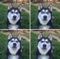 кот с лампой  случайно тут не проходил?..