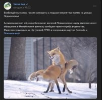 Хороший заголовок, но до шедевров от подмосковных мастеров ему далеко "Спасатели отодрали гуся", "Автомобилистка нырнула в Мочу" или вот из свежего.