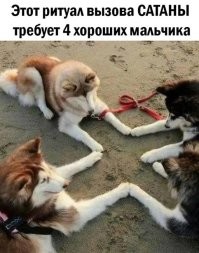 Люди, не верьте этим дилетантам!
На самом деле нужно 5 хороших мальчиков...ну и плохая девочка