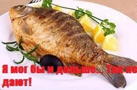 15 самых невероятных животных долгожителей