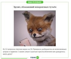 Тест по очень странным предметам