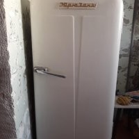 У нас на даче был похожий холодильник Юрюзань. В возрасте 55 лет, он ещё прекрасно работал.