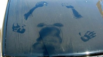 Случайные шедевры природы