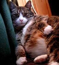 променять на бездушную тварь, совсем кукуха поехала...