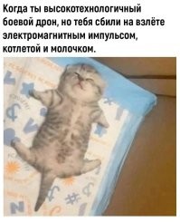 Комментарии и картинки из соцсетей. Свежак за 20 февраля