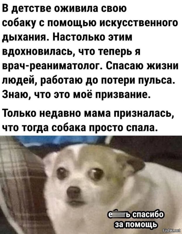 Скрины из соцсетей&nbsp;