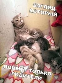 Дайте «Оскар» этой богине! И богу тоже