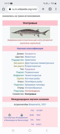 Самые удивительные, необычные и ужасные рыбы в мире
