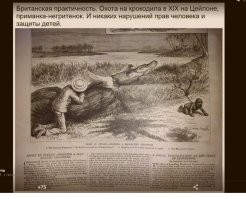 Скрины из соцсетей&nbsp;