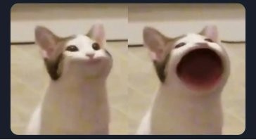 Не ищите здесь смысл. Здесь в основном маразм