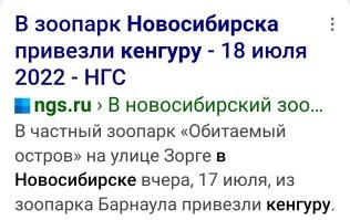 Как успокоить кенгуру, который хочет на тебя напасть