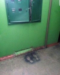 Случайные шедевры природы