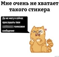 Скрины из соцсетей&nbsp;