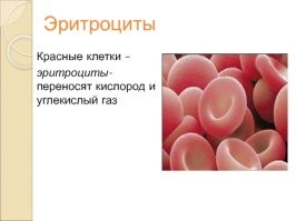 Кстати похоже....