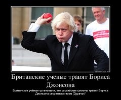 Скрины из соцсетей&nbsp;