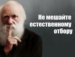 Эскалатор зажевал обувь экспериментатора