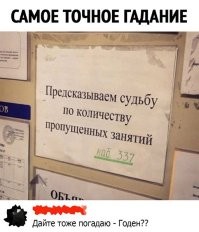 Фотоприколы и&nbsp;прикольные картинки