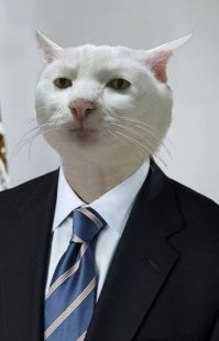 Намешалось