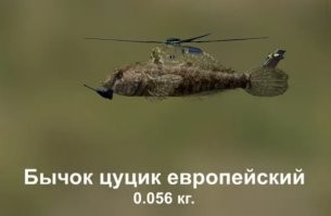 Извините, не удержался.
